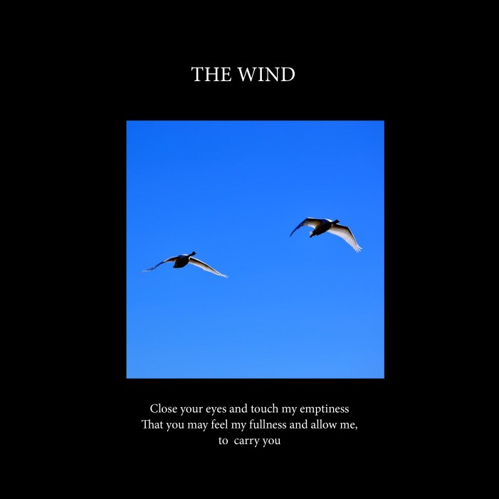 The wind-cover