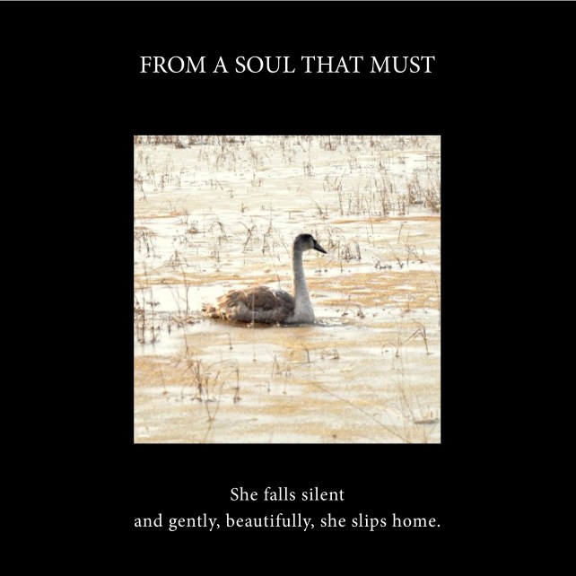 From a soul that must-cover