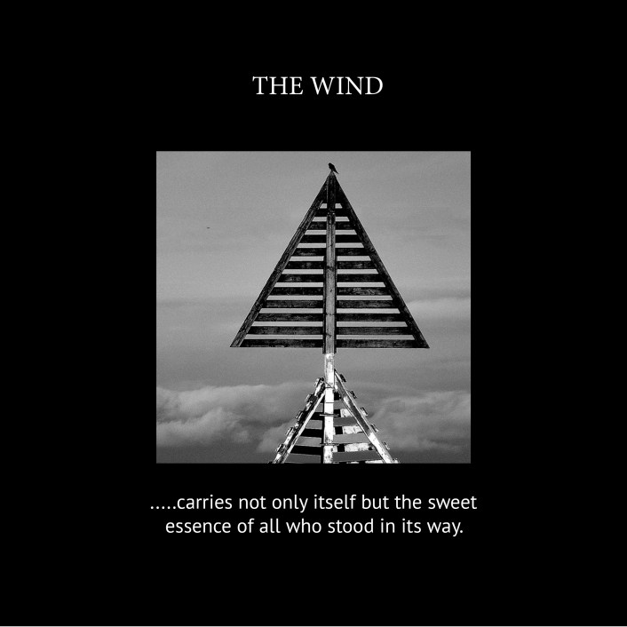 The Wind